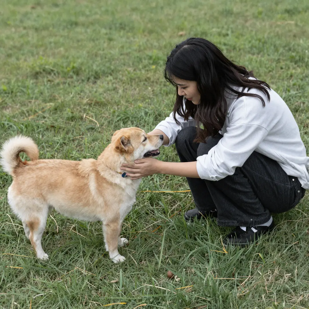 🎨 Nano Nanana Image